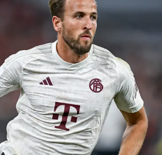 业内人士谈塞鸟：“老外”大场面不怯场 没有中国球员那么多包袱.